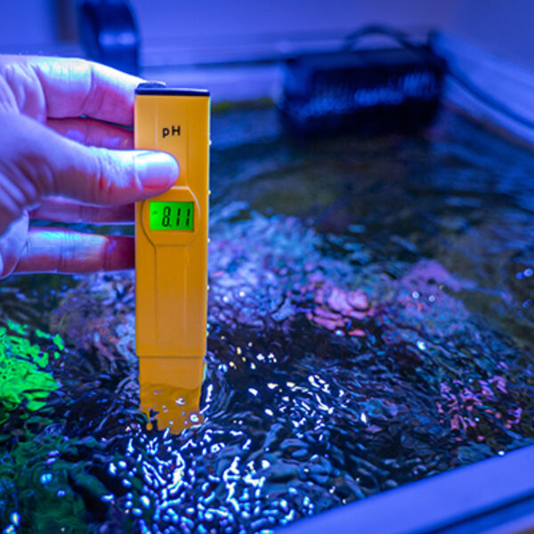 stom wall-mounted reef tank in Sandy, Utah