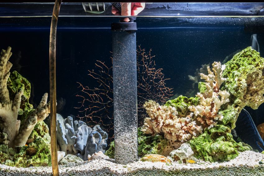 aquarium-filtration