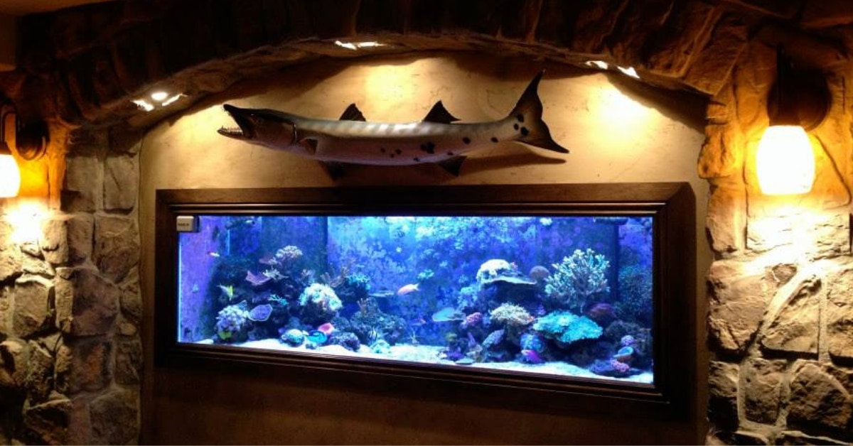 Professional-aquarium-heater-installation-OCD-Reefs-Utah