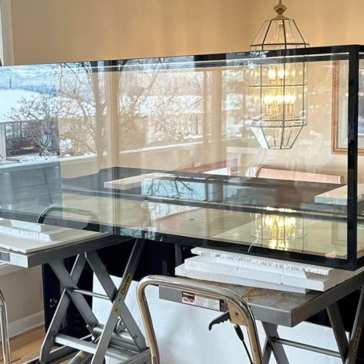 Saltwater aquarium with soft coral placement in Draper home