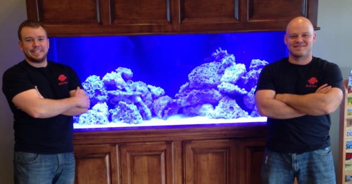 Curated visual reference: Expert Saltwater Fish Tank Maintenance In Utah Photo Inspiration