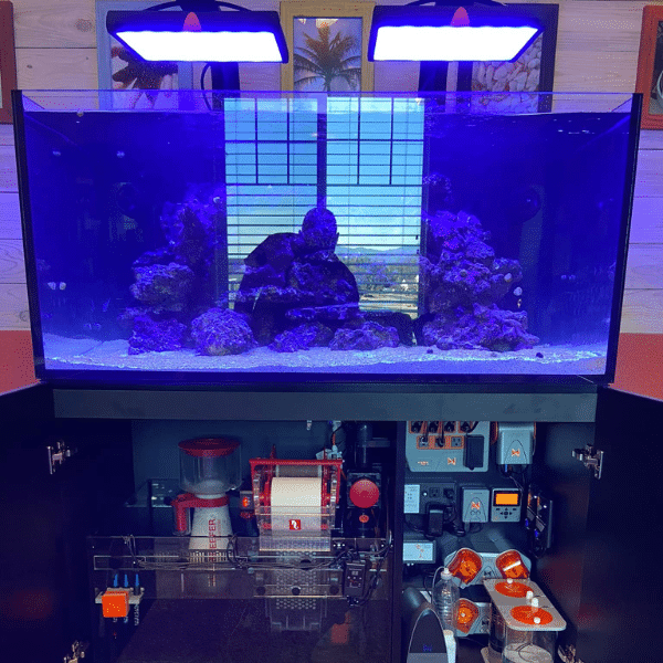 Aquarist testing saltwater tank parameters.