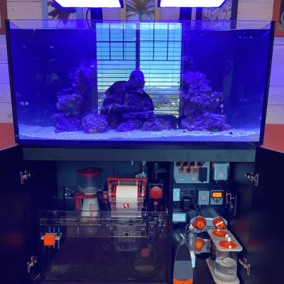 Visual comparison of sump, canister, and HOB filters for aquarium
