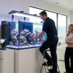 Why Our Reef Aquarium Installation Service is the Gold Standard for Utah's Elite Aquarists