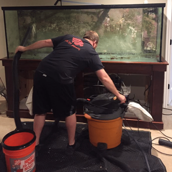 OCD Reefs team installing a commercial reef aquarium in Utah