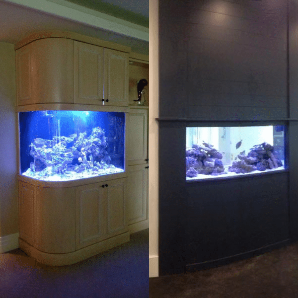 Side-by-side comparison of coral reef tank under blue light and white light