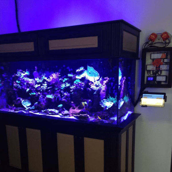 Saltwater aquarium supplies including pumps, lights, and filtration