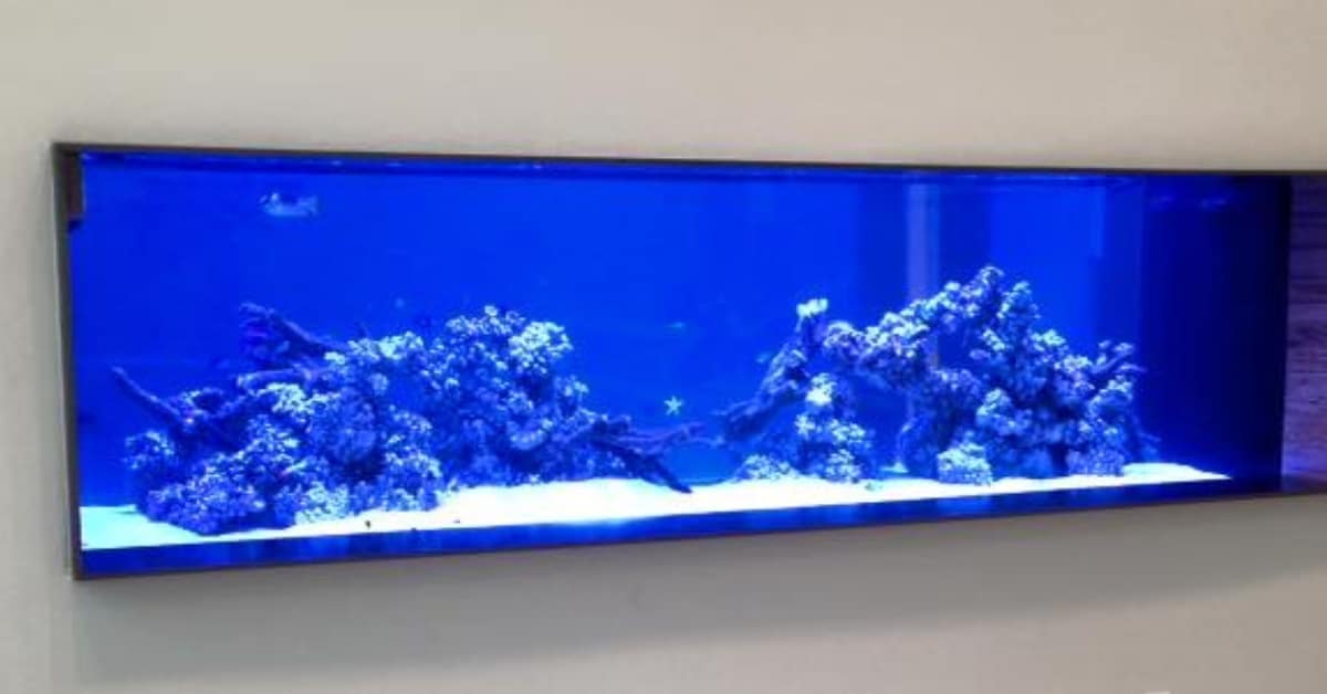 Vibrant saltwater aquarium with colorful reef fish in a home setting